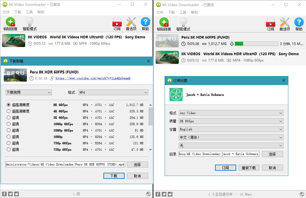 4K Video Downloader v4.23.1.5220