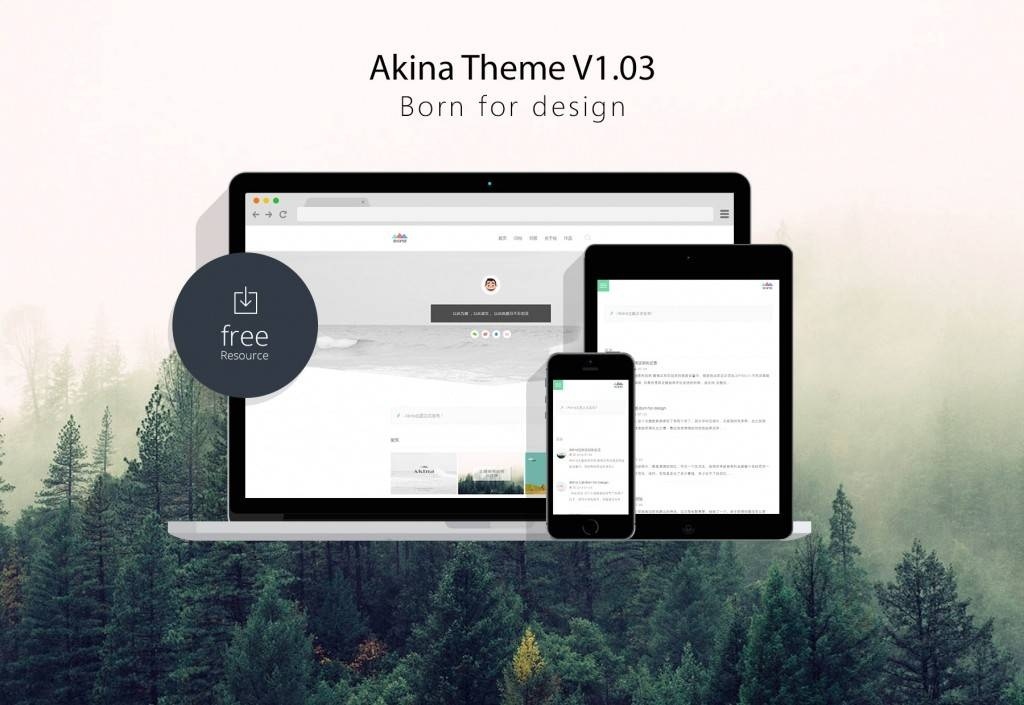 WordPress 主题 极简主题 Akina