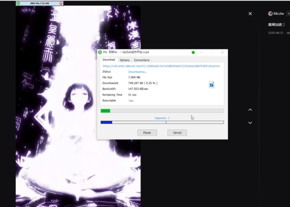 可灵 -- 即梦 -- 豆包 -- 海螺视频去水印工具带视频教程