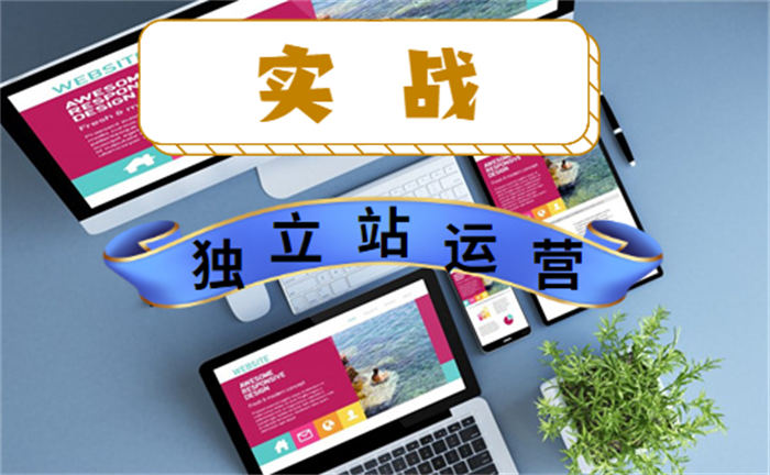 日 IP 量 1600+，年赚百万，揭秘独立站运营项目的 5 个关键点！独立博客 网站运营 建站教程 第 1 张