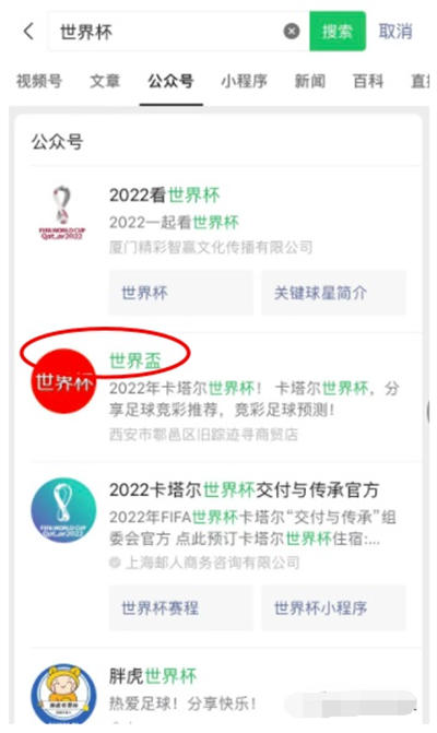 做个世界杯公众号怎么样 微信公众号 SEO SEO 推广 第 11 张