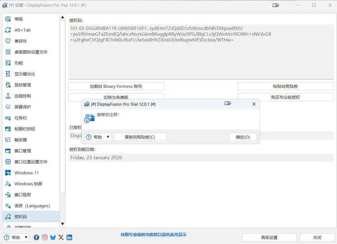 多显示器管理 DisplayFusion Pro v12.0.1 高级版