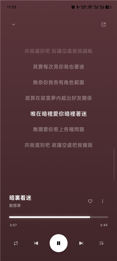 水獭音乐 2.4.11 纯净无广 免费听全网 可下载
